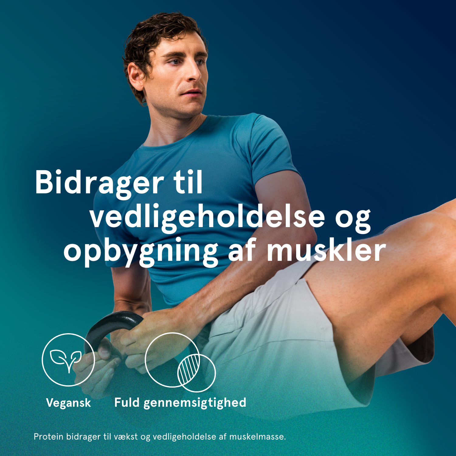 PB - Planteprotein Booster